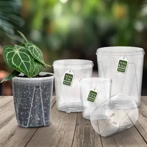 Clear Nursery Tall Vented Pots  with Drainage Holes | karenplantsplants