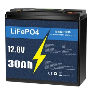 12V 30Ah LiFePO4 Deep Cycle Rechargeable Lithium Battery, Over 4000 Life Cycles, Built-in BMS, Backup Power Perfect , Camper, Van, Marine, Off-Grid Home Energy Storage-Core Series,Trolling motor, Maintenance-Free