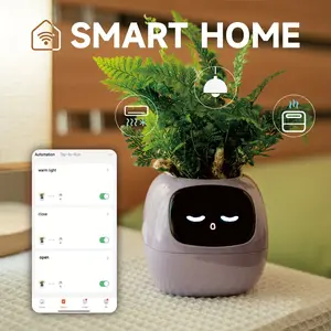 Smart pets, flowerpots for guided plant care, cute virtual digital companions, neat desktop gifts. Home Houseplant Automation Springtok Flora Grow
