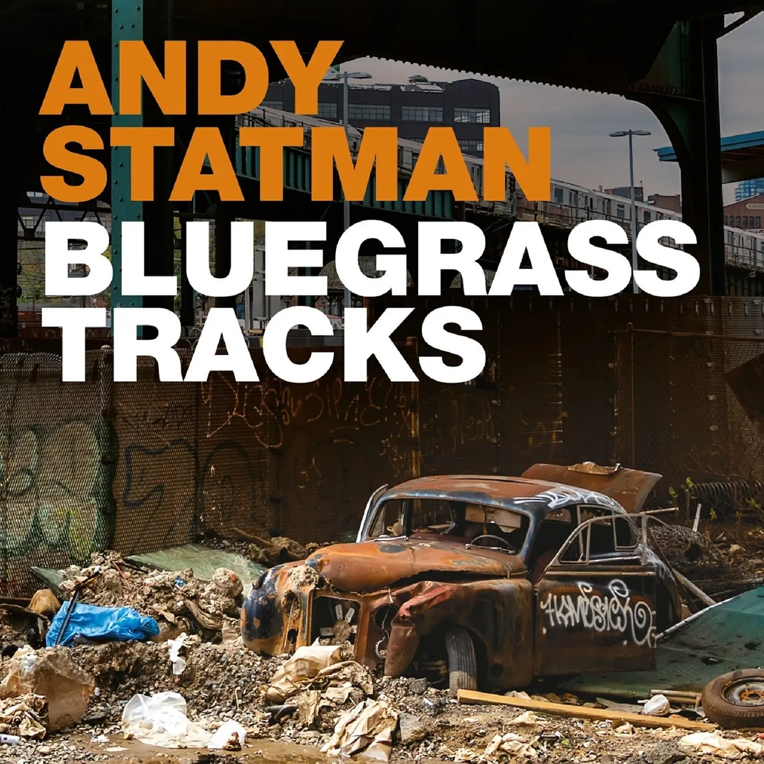 Andy Statman - Bluegrass Tracks Collectible LP Record, Albums on Vinyl, Grace Sparkle Wit Vinyl Records, Finesse