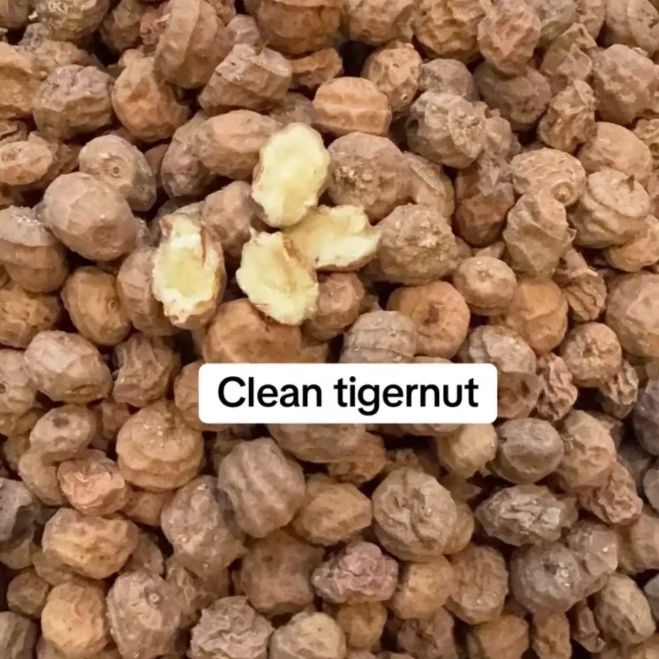 ORGANIC AFRICAN DRY TIGERNUT, small mixed medium seed, (Aki-Hausa) 1lb per pack. No refund.