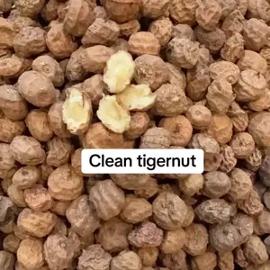 ORGANIC AFRICAN DRY TIGERNUT, small/medium seed, (Aki-Hausa) 1lb per pack