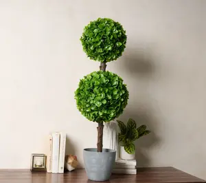 Wicker Park 3' Indoor/Outdoor Jade Topiary Tree Wicker Park 3' Indoor/Outdoor Jade Topiary Tree