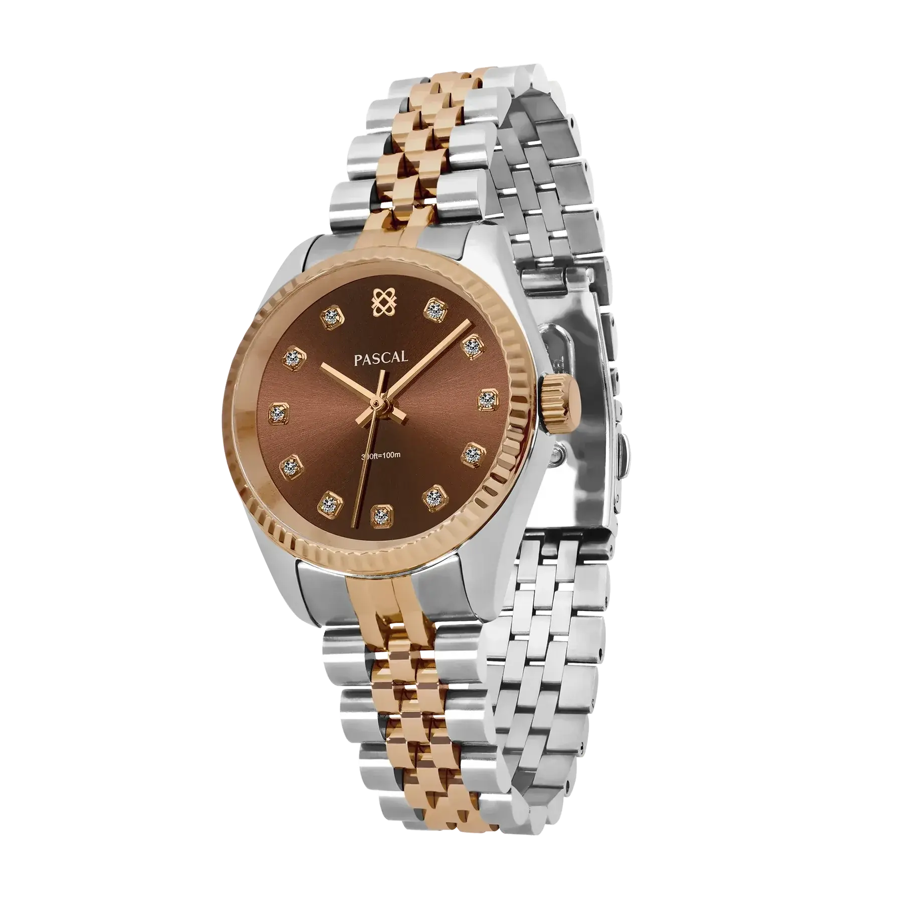 PASCAL Diamond Classic Watch for Women & Men 31mm & 36mm Swiss Quartz Stainless Steel Waterproof Luxury Wrist Watch with Lab-Grown Diamonds