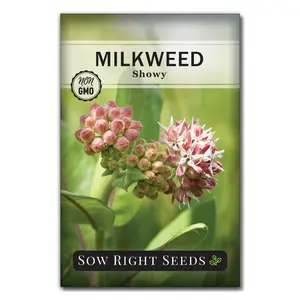 Showy Milkweed Seeds