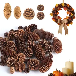 40pcs Pine Cones Decorations  - Rustic Pine Cone Ornaments for Table, Christmas Tree, Crafts, Gifts, Thanksgiving, Xmas Home Decor ﻿