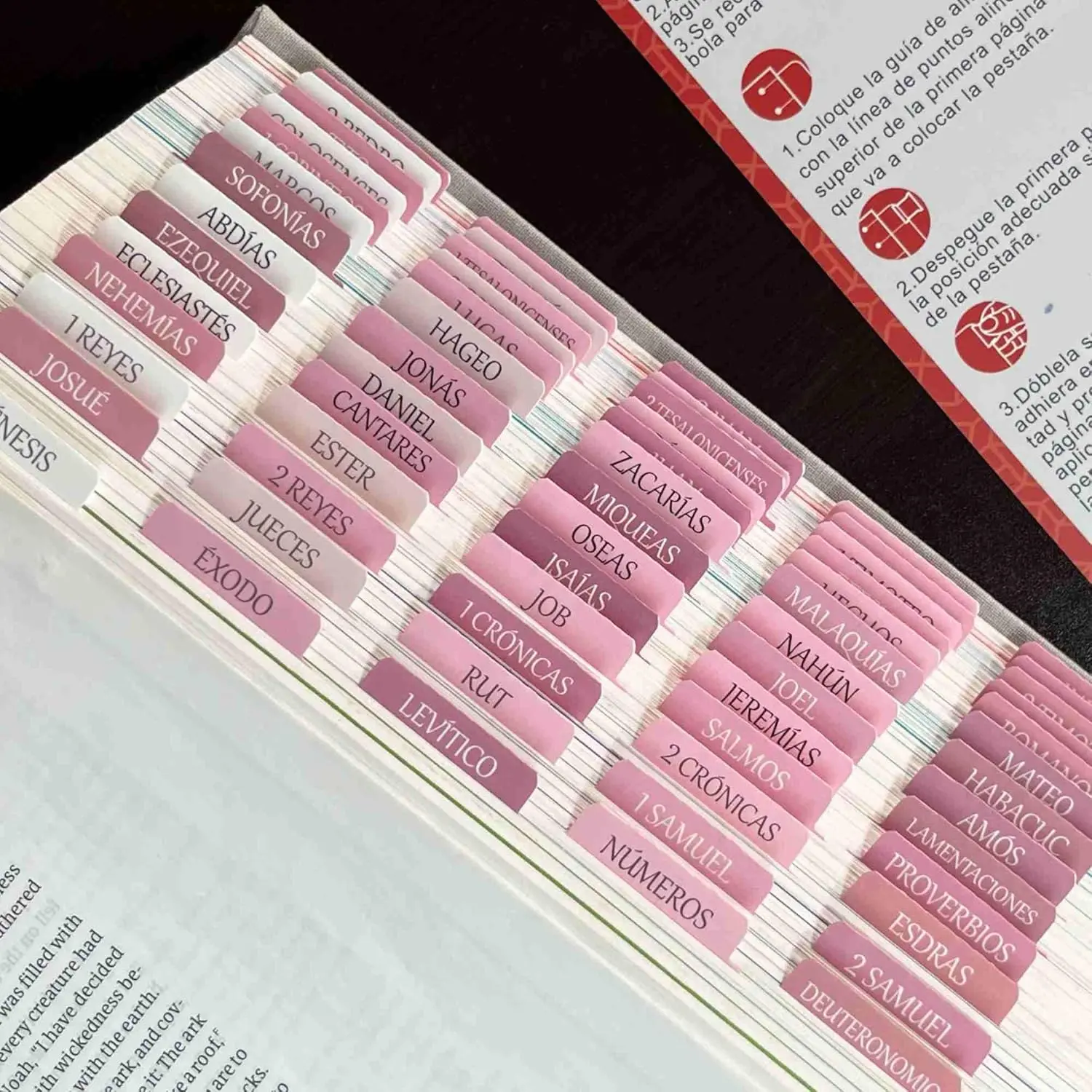 Spanish Laminated  Tabs, pestanas para biblia en espanol,  Large Print Stickers, Easy to Read and Apply  Tabs for Women and Man (Spanish )