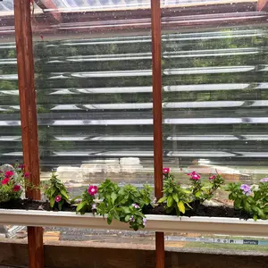 Gutter Garden