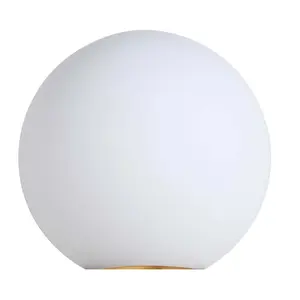 Caleb Frosted Glass Globe