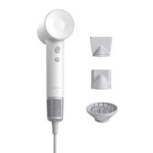Laifen SE Hair Dryer Blow-Dryer Ionic Technology Temperature Cycling