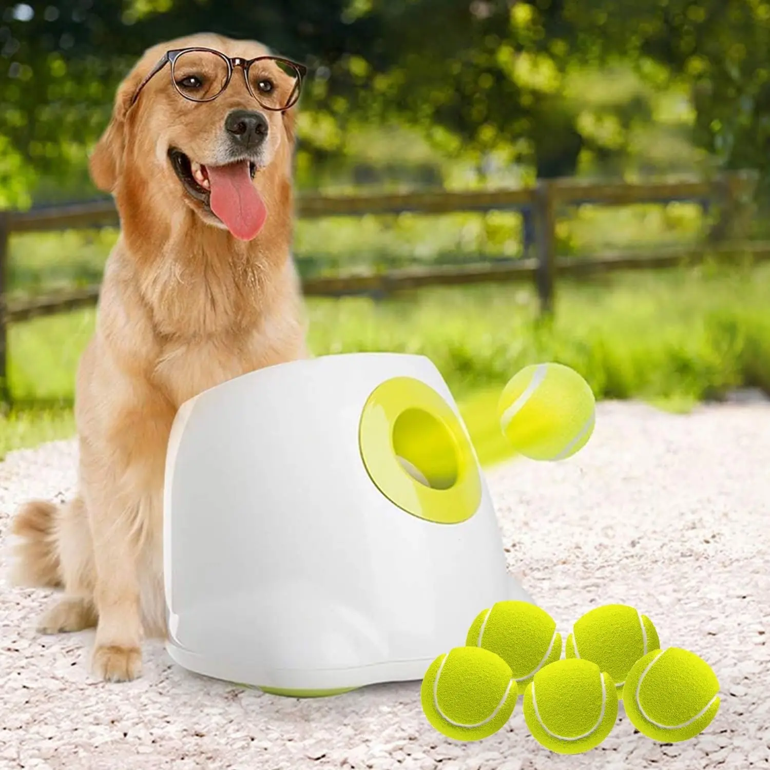 ALL FOR PAWS Automatic Dog Ball Launcher - Rechargeable Interactive Tennis Ball Thrower, Plush Squeak Toy for Medium-Large Energetic Dogs, Mental Stimulation Training Tool (Ideal for Birthday Cake Gifting)