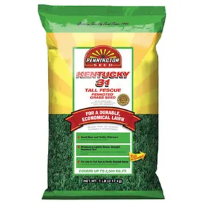 Pennington Seed 100516051 7 lbs. Kentucky 31 Tall Fescue Seed Pennington Seed 100516051 7 lbs. Kentucky 31 Tall Fescue Seed