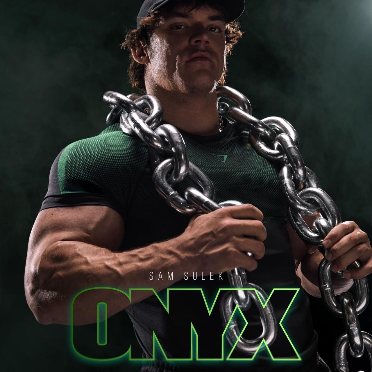 RARE Onyx 5.0 Seamless T-Shirt Black/Brand Blue Men's Fitted Athletic Tee for Workout