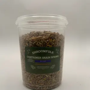 Rye Grain Spawn — 2 lb (Two 1 lb Containers)