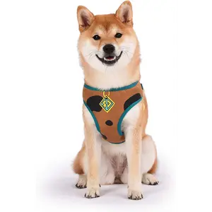 Scobby- Doo No Pull Dog Harness