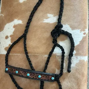 Black Mule Tape Halter with Leather Noseband and Turquoise Conchos - Horse Accessory