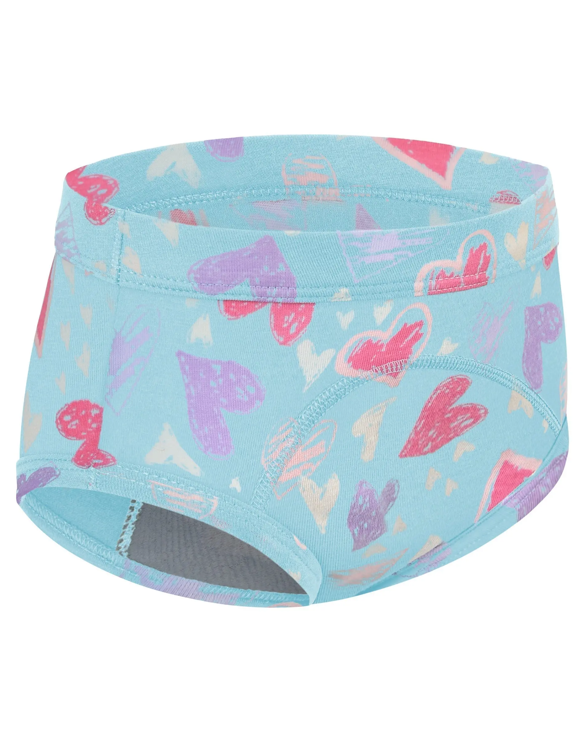 Hanes Toddlers' Girls' Heavy Absorbency Underwear Briefs Pack, 5-Pack, Potty Training,