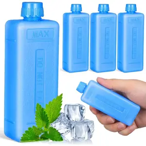4 count Small Ice Packs for Lunch Boxes and Coolers, Slim  Freezer Packs for Air Conditioner Fan Camping Fishing, Hard Shell Ice Blocks for Lunch Bags, Picnic, Work or School,  Storage