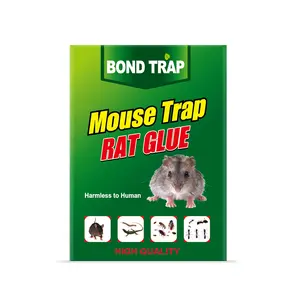 AMZ Household Sticky Mouse Trap The Sticky Mouse Trap Has High Viscosity And Adheres Immediately Upon Touch.It Is A Household Warehouse Mouse Trap And A Foldable Mouse Trap