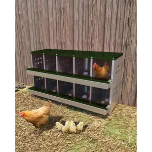 Galvanized Steel 10-Hole Chicken Nesting Box with Perch, Egg Collection Tray, Modular Wall-Mount Design, Ventilated Roll Away, Easy Cleanup, Rustproof Durability, Training Eggs Included, Reduces Stress for Hens