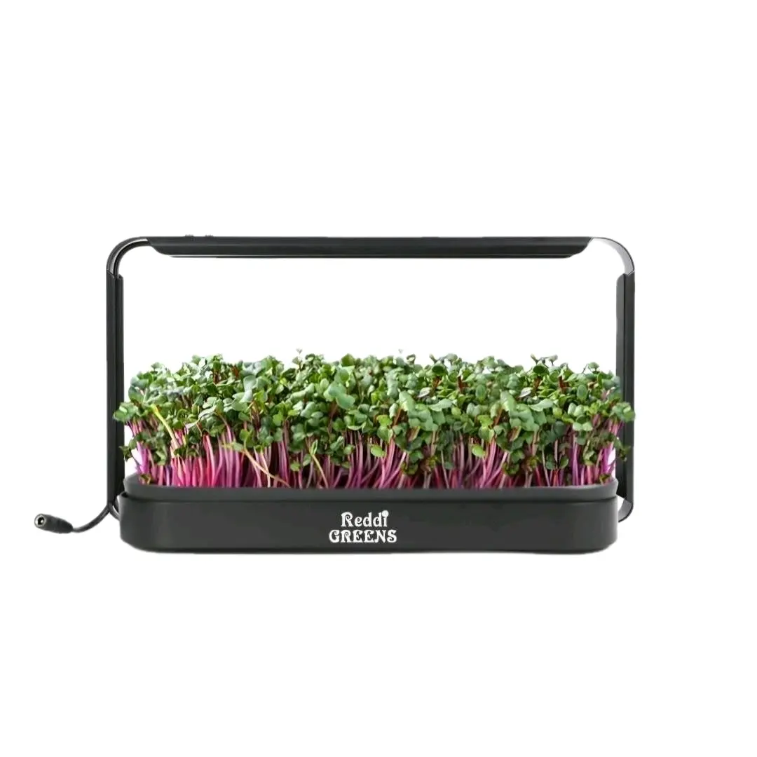 Reddi Greens Microgreen Growing Kit Reddi Greens Microgreen Growing Kit