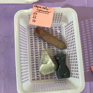 Natural Crystal Bundle For Home Decor