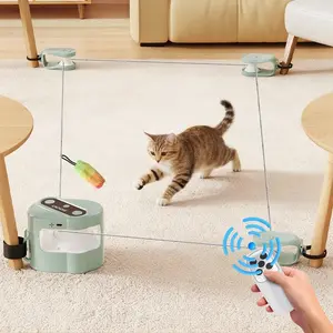 Interactive Cat Toy for Indoor Cats, Auto/mechanical Control DIY Feeder & Chaser, Fun Training Tool for Bored Kittens