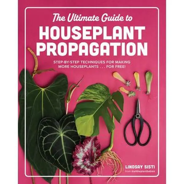 The Ultimate Guide to Houseplant Propagation: Step-By-Step Techniques for Making More Houseplants . . . for Free! -- Lindsay Sisti, Hardcover