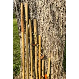 Bamboo Walking Stick -  Hiking Staff
