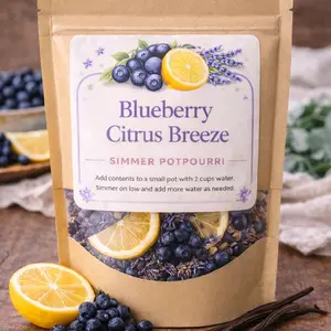 Blueberry Citrus Breeze Simmer Potpourri - Fresh Summer Fragrance with Dried Blueberries & Citrus for Cozy Home Vibes