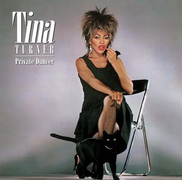 Private Dancer - Tina Turner - Record Album, Vinyl LP