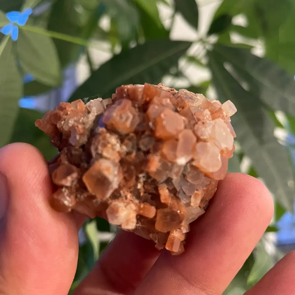 Natural Aragonite Crystal