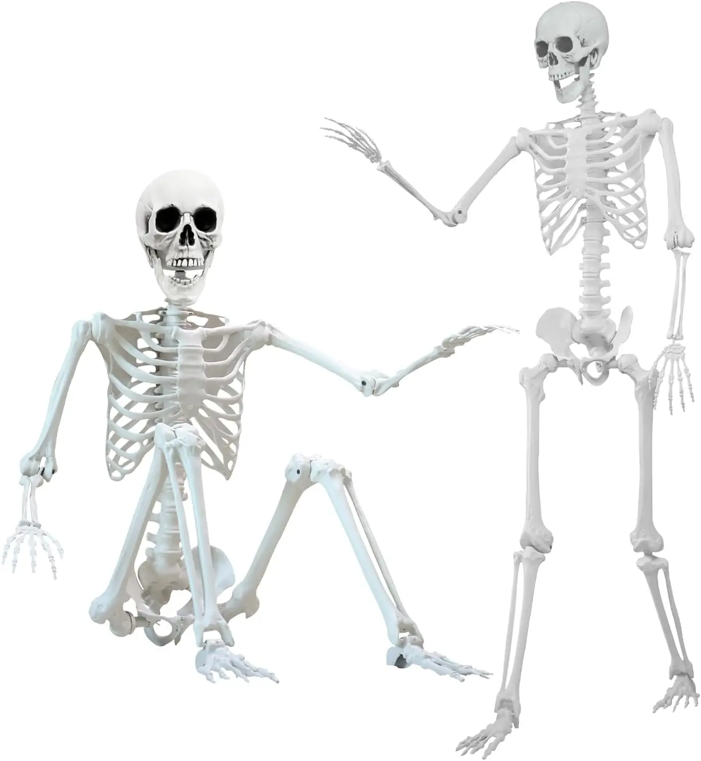 5.4 ft Halloween Skeleton Poseable Skeleton Life Size Skeleton Full  Plastic Human  Standing Human Skeleton with Posable Joints for Halloween Decoration1PCS