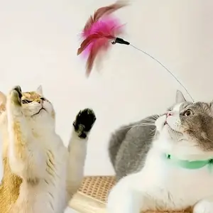 Interactive Cat Collar With Feather Teaser Stick, For Pet Playing And Training Toy