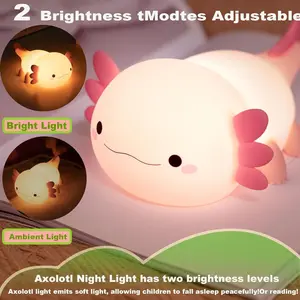 Cute Night Light LED Lamp, USB Rechargeable with Timer, Touch Activated Adjustable Color Changing, Perfect Gift for Baby Room Bedroom Office Decor, Scene Atmosphere Lights
