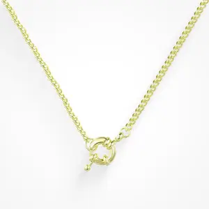 EVRY JEWELS Gold or Silver Plated Women's Hypoallergenic Locked In The Loop Necklace
