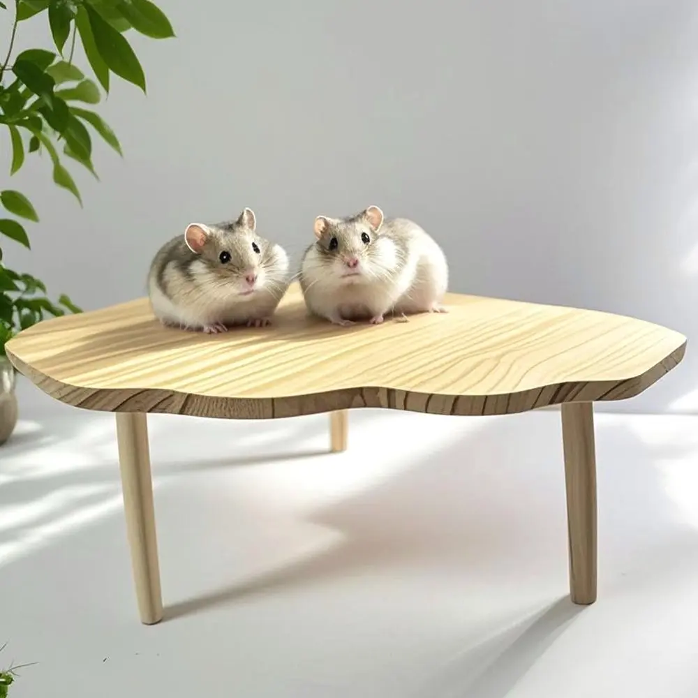 1PC Fan-shaped Wooden Hamster Platform, Small Pets Double Layer Table Easy-to-install Interactive Climbing Toy Small Pet Cage Landscaping Decor Cage Accessory, Hamster Cage Accessories, Hamster Supplies Suitable for Small Animals, Hamster Cage Habitat