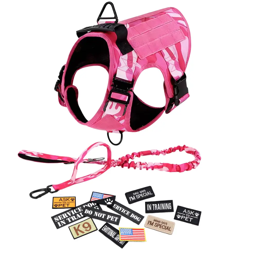 Pink Harness, leash & 12 Patches