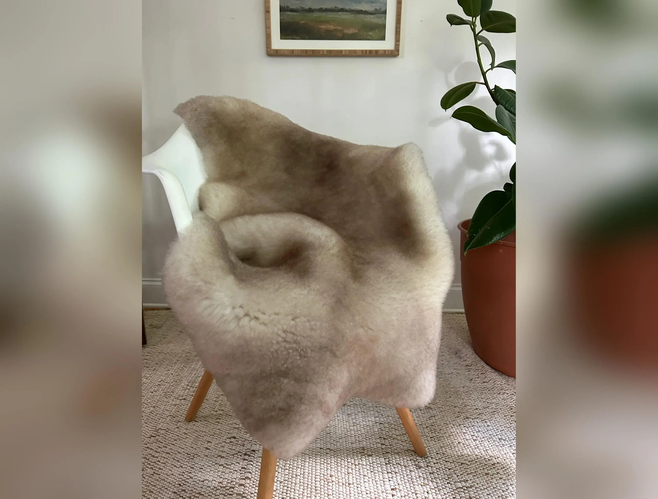 Greyish Brown Shortfur Sheepskin