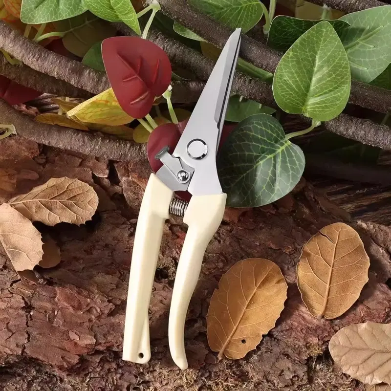 Straight blade scissors