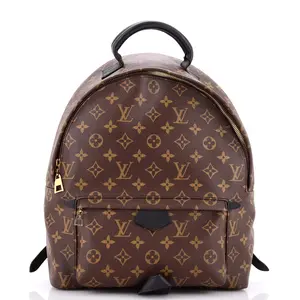 Pre-owned Louis Vuitton Canvas Coated Backpacks Palm Springs Backpack Monogram Canvas MM by Rebag