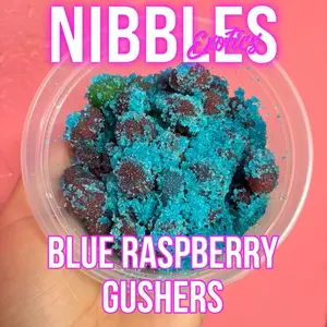 Nibbles Blue Raspberry Gushers 8 Oz Tub