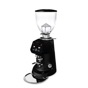 Fiorenzato F64 Evo coffee grinder