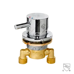 WS - Single Lever Mixing Valve