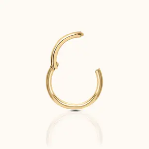 Classic Clicker 8mm Titanium PVD Plating Hinged Hoop Earring