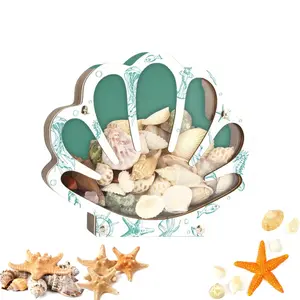 Seashell Display Case, Acrylic Front Wooden Box, Holds Small Shells, Shark Teeth & Starfish, Perfect Gift for Beach Lovers