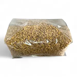 5 lb Sterilized Grain Bag