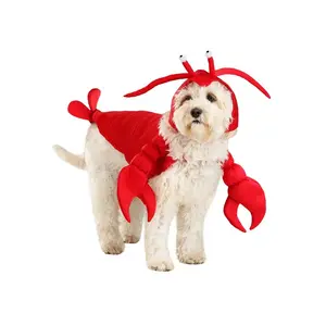 Dog Lobster Costume