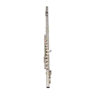 Beginner Student Starter Kit - Nickel-Plated C Closed Hole 16-Key Concert Band Flute (71.6 cm), Bb Clarinet Flat Set with Mouthpieces & Tuning Rod, Musical Setup