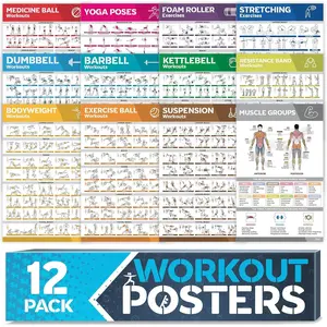 [12-PACK] Laminated Large Workout Poster Set -  Workout Posters for  Gym - Exercise Charts Incl. Dumbbell, Yoga Poses, Resistance Band, Kettlebell, Stretching &  Fitness Gym Posters
